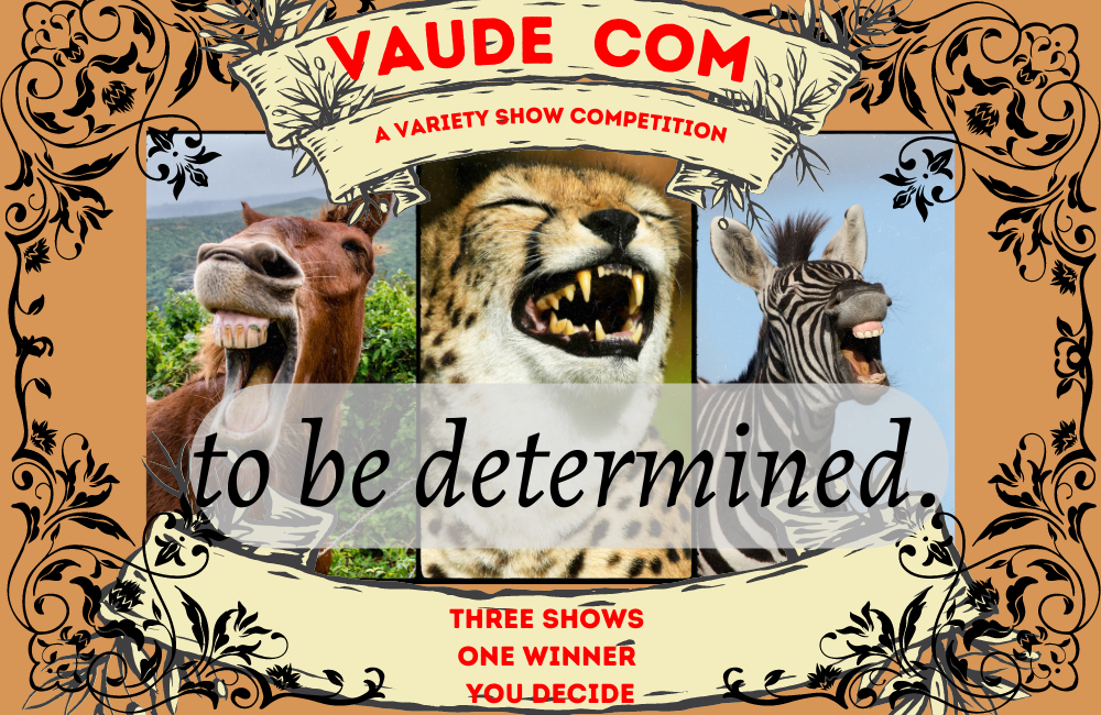 The Winner of the Vaude Com: Variety show competition is!!!